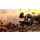 PC Total War: Warhammer Trilogy (DLC) - 1178482 - zdjęcie 2